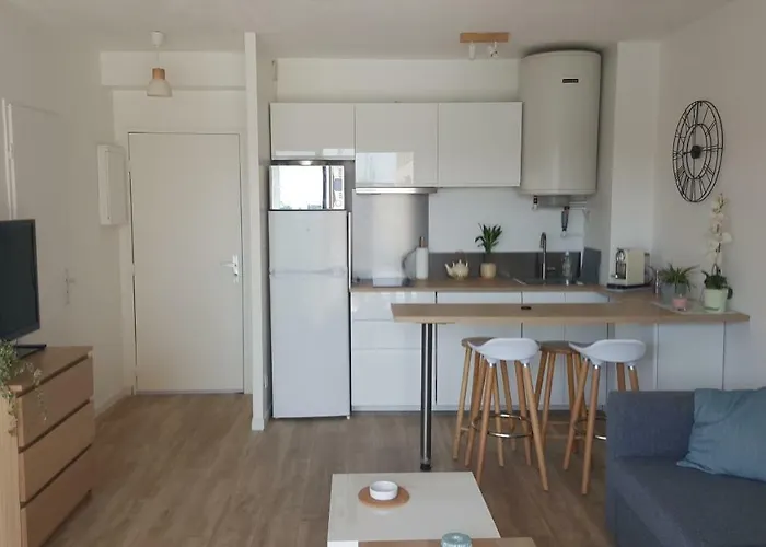 Port La Gavine Vue Hyères